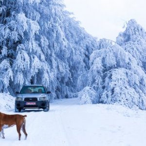 imaginea utilizatorului Gyula-Szabolcs Iszlai