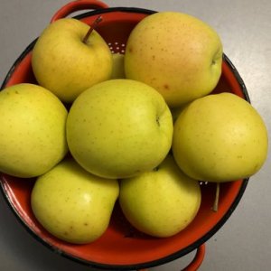 Gabriela B.'s picture