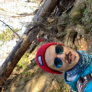 Mihai Iorgulescu's picture