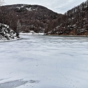 imaginea utilizatorului Bretoiu Stefan