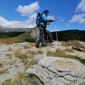 imaginea utilizatorului Nicolae Leonard