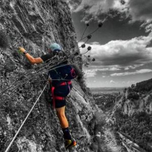 imaginea utilizatorului Maccaro