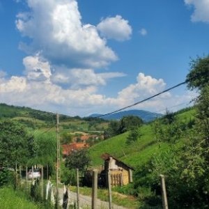 imaginea utilizatorului flex