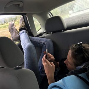 imaginea utilizatorului Petris