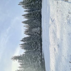 Dana Godja's picture