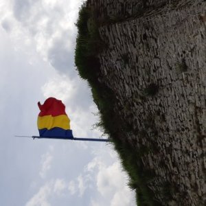 imaginea utilizatorului MOSOR MARIUS