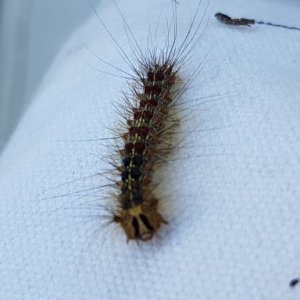 imaginea utilizatorului test222