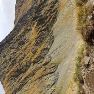 imaginea utilizatorului Germinia Ciurea