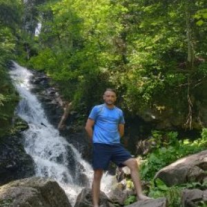 imaginea utilizatorului babirusa