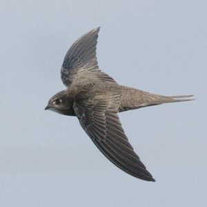 Rima Rimaite's picture