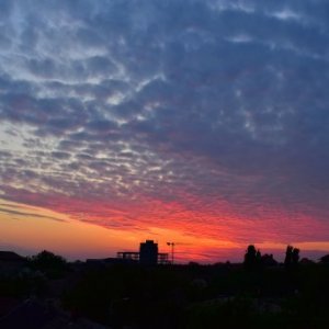 imaginea utilizatorului Maciulschi Daiana Laura