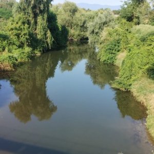 Ruja Petru's picture