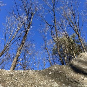 imaginea utilizatorului bogdan.grigoras