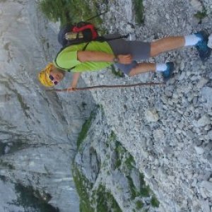 imaginea utilizatorului Mircea Musa