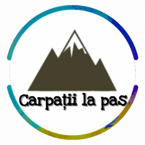 imaginea utilizatorului NarciaN