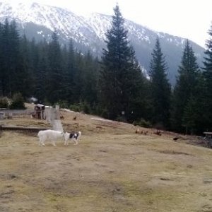 imaginea utilizatorului mmn273