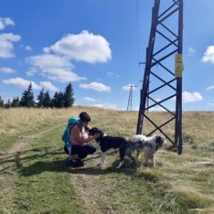 imaginea utilizatorului AnaCrimson