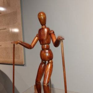 imaginea utilizatorului Eliza Elianu