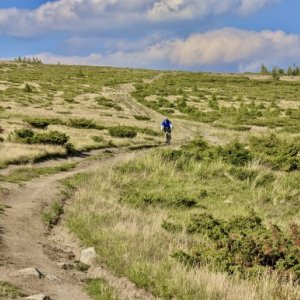 imaginea utilizatorului NMI