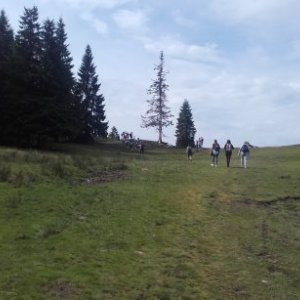 IONITA CONSTANTIN CRISTIAN's picture