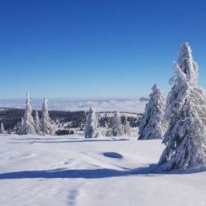 Heresanu Vasile's picture