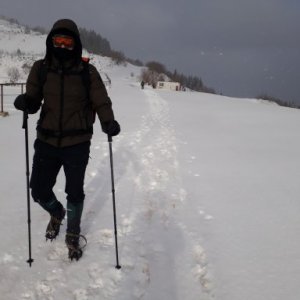 imaginea utilizatorului Bobulescu