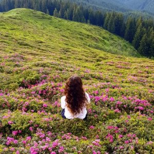 imaginea utilizatorului Aniela