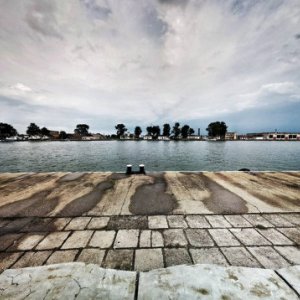 imaginea utilizatorului Silviu