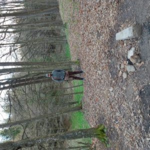 imaginea utilizatorului Malnasi Adrian