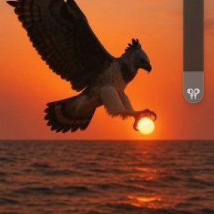 imaginea utilizatorului Popa Lucian