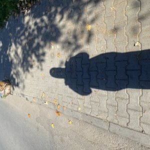 Krisztii's picture
