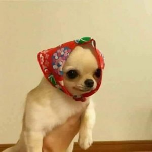 imaginea utilizatorului MateiF