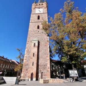 imaginea utilizatorului Burcea Vasilica