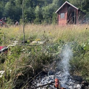 imaginea utilizatorului Tipcso