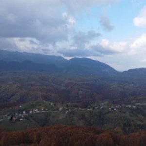 imaginea utilizatorului Pia Simionescu