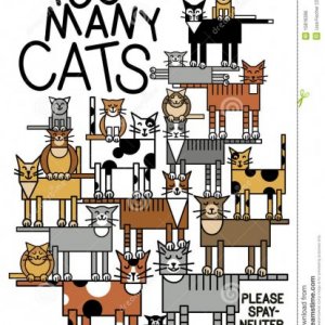 Iulian Rusu's picture