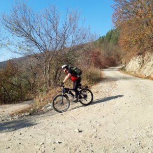 imaginea utilizatorului Teodor Botez