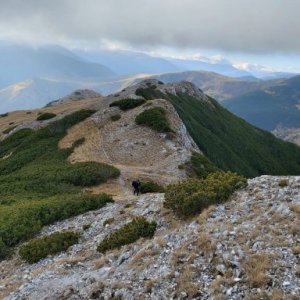 imaginea utilizatorului jiler