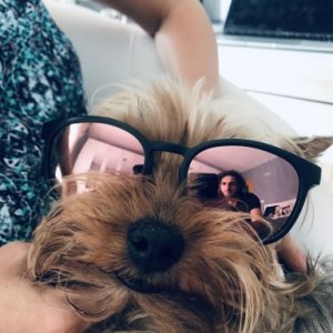 BBogdanAndrei's picture