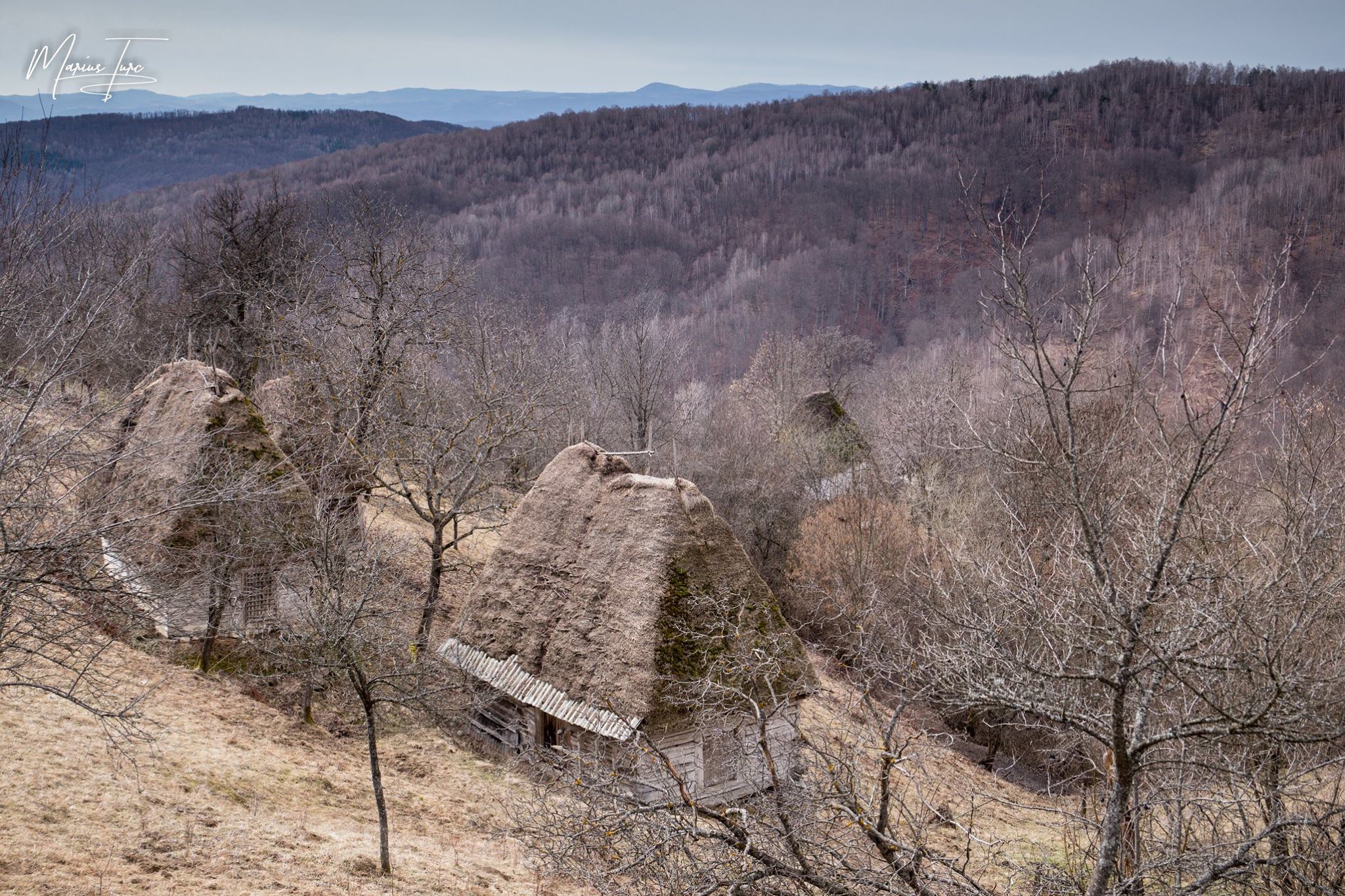  Șuri de paie Străuți - Marius Turc