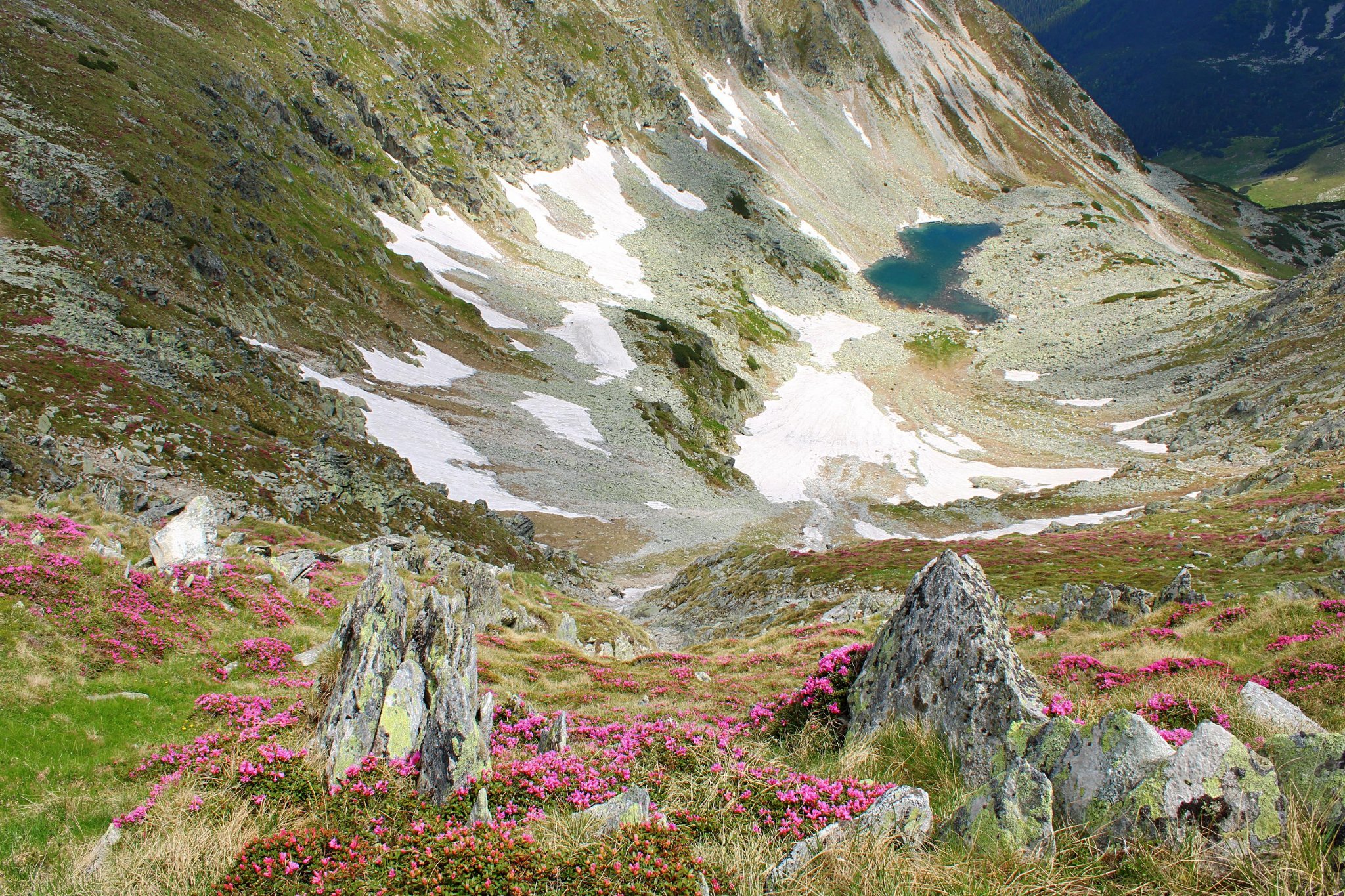  Tăul Adânc sau Tăul Păpușii - Sima Constantin