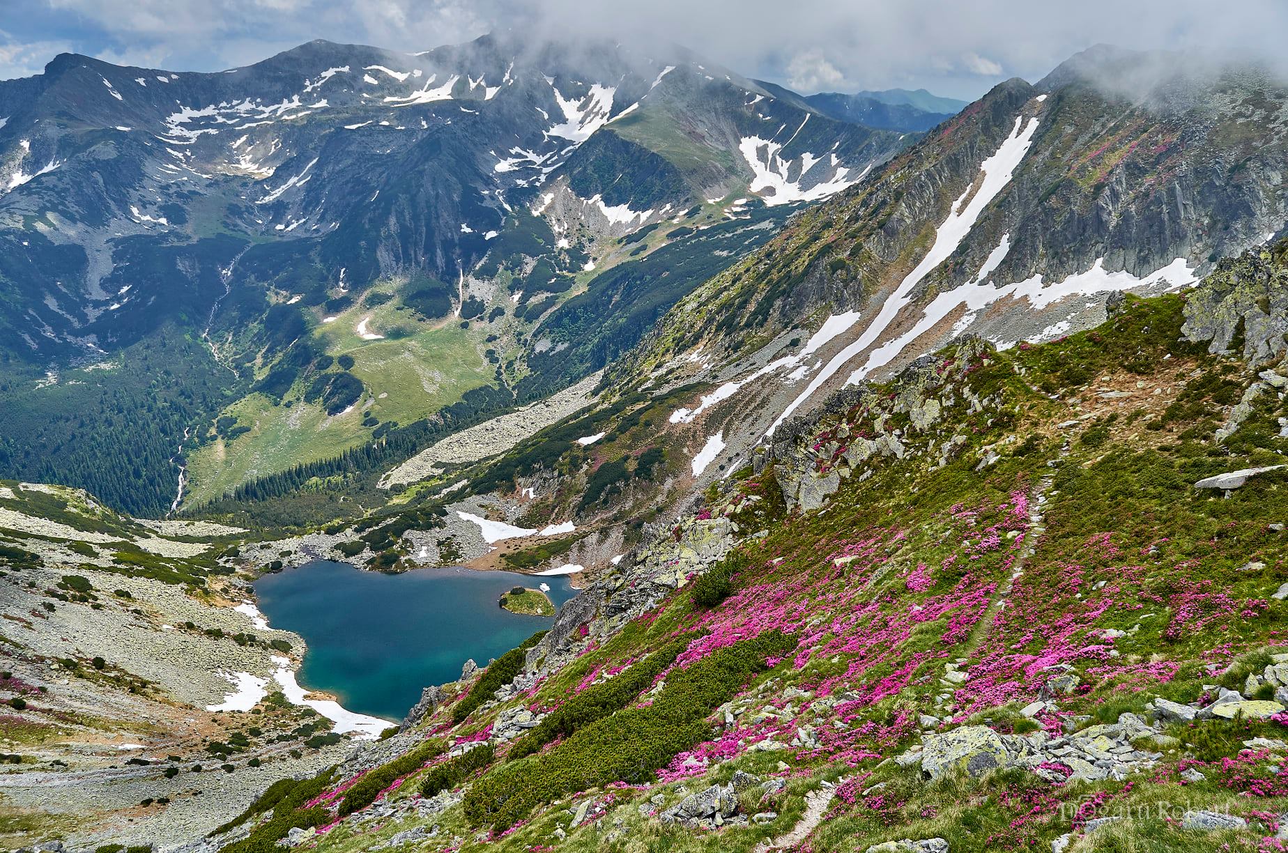  Taul Tapului - Robert Dogaru