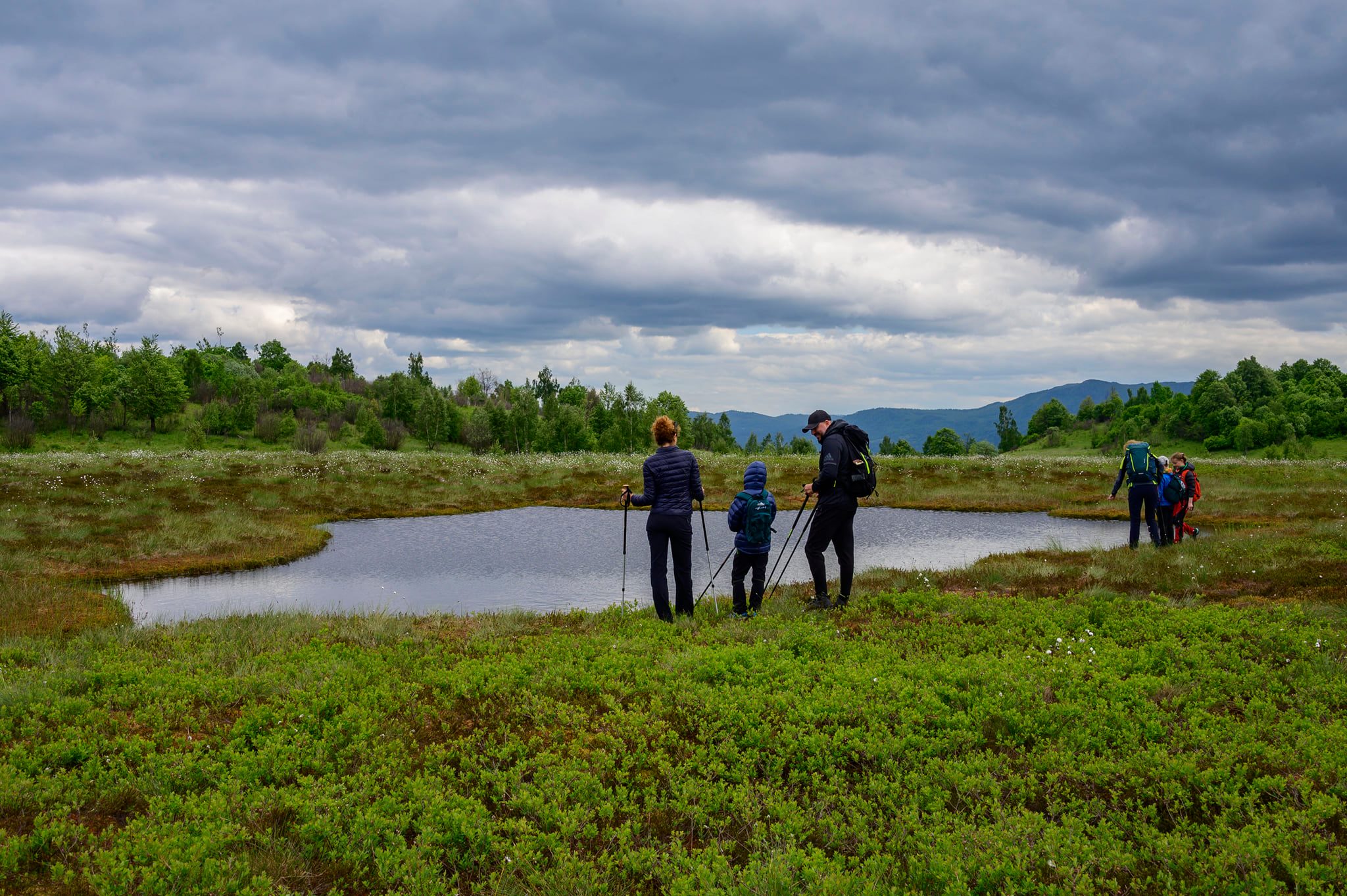  Turbaria Iezerul Mare - Eco Maramures