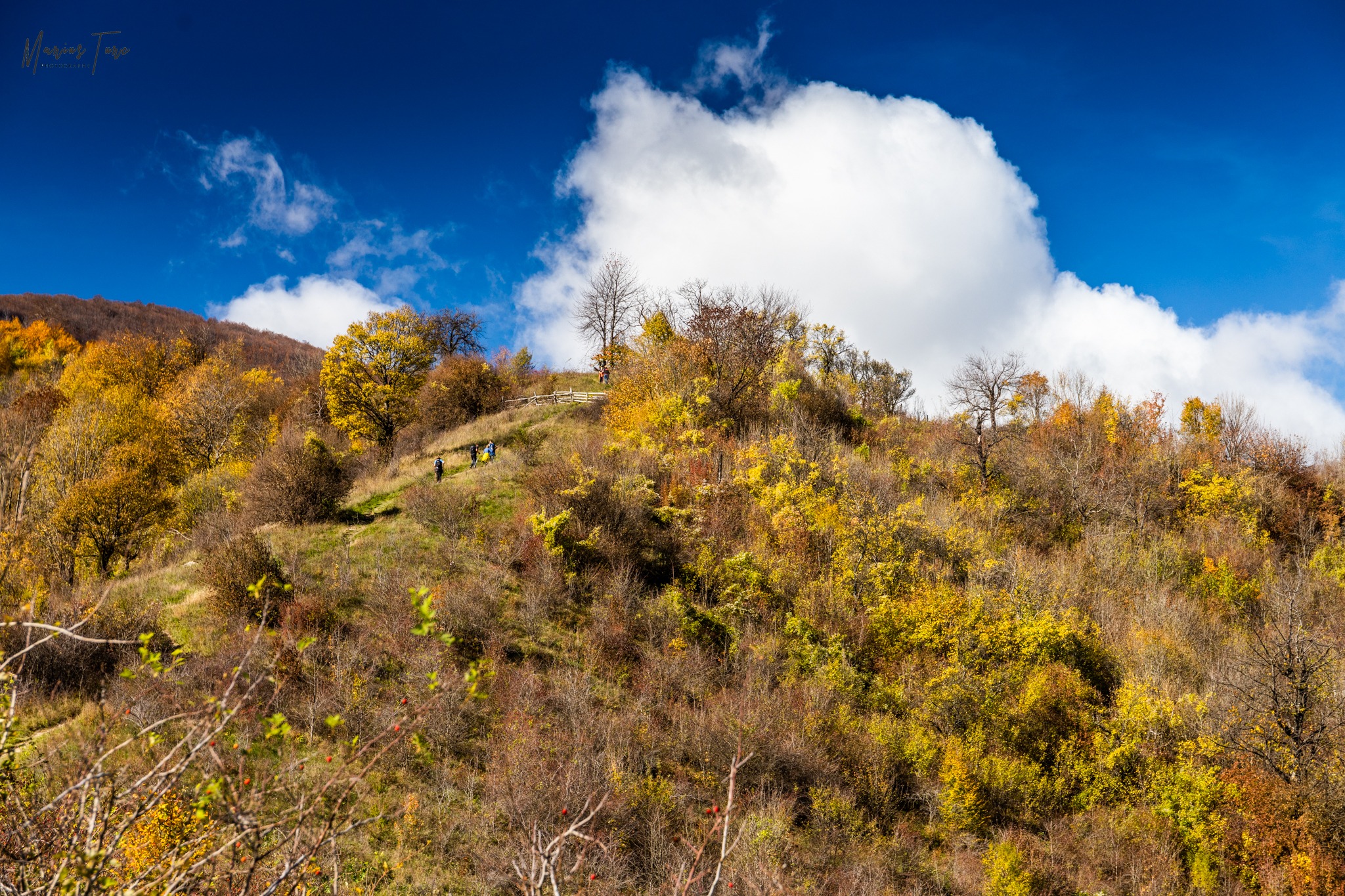  Urcare spre bisericuţa de la Ineleţ - Marius Turc