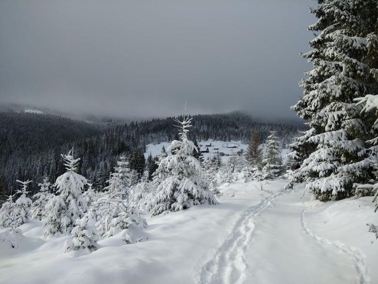  urcare spre catunul Crint - Manu Muntomanu