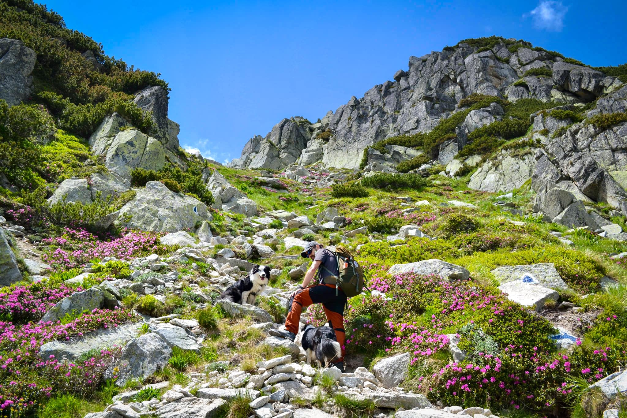  Urcarea în Șau Retezat, printre lespezi și smârdar - Ioana Pop