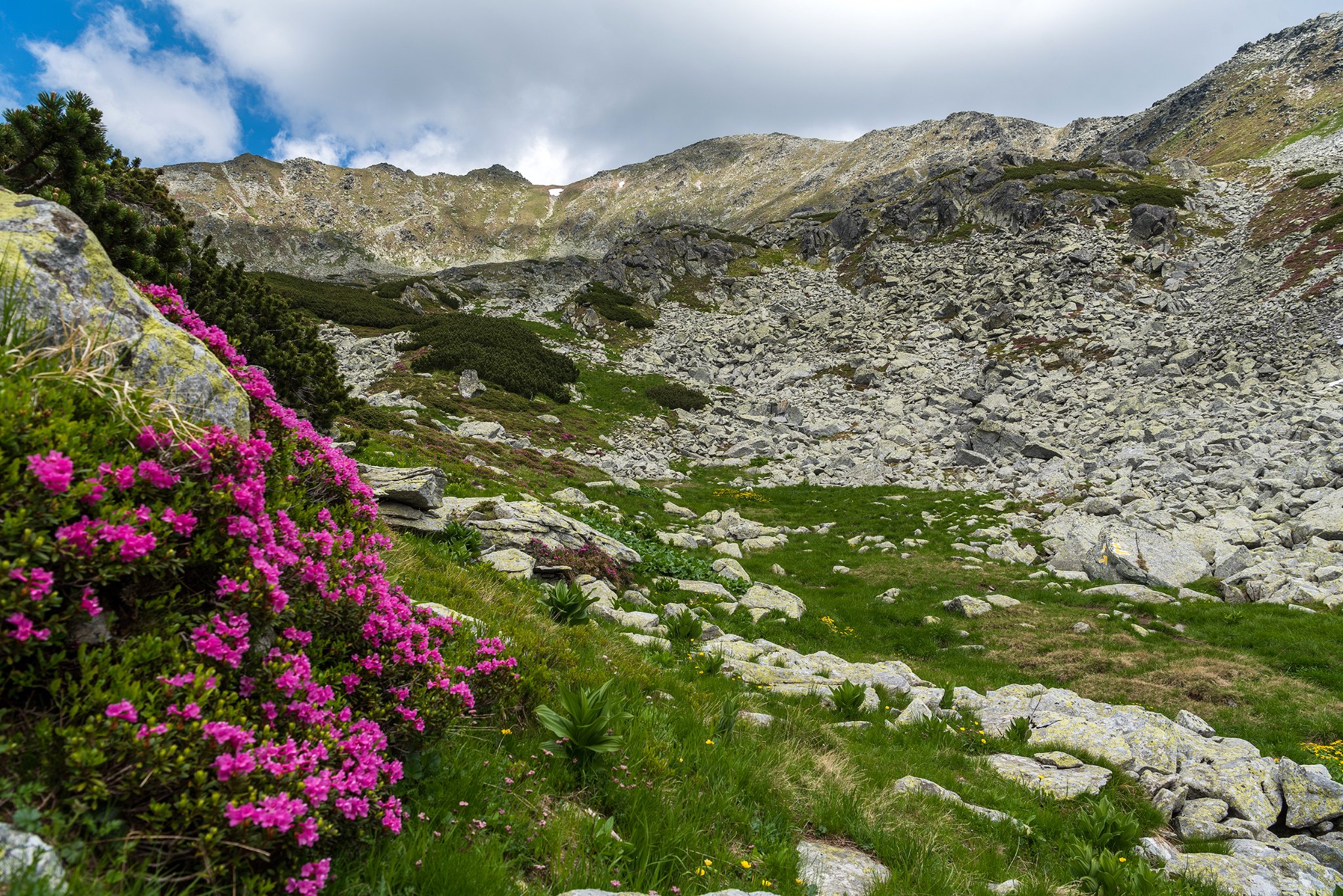  Urcarea prin Căldarea Berbecilor - Morar Daniel