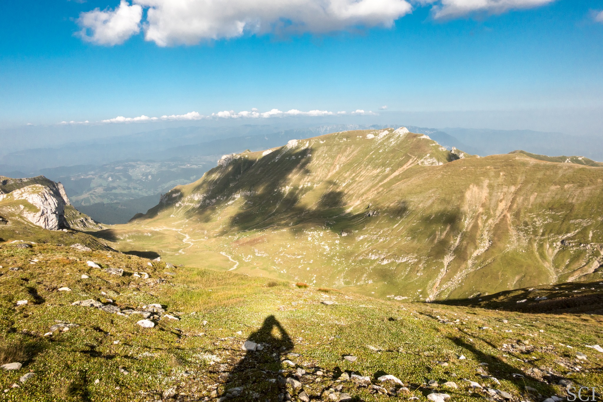  Vaea Gaura - Csaba-Ilie Silvesan