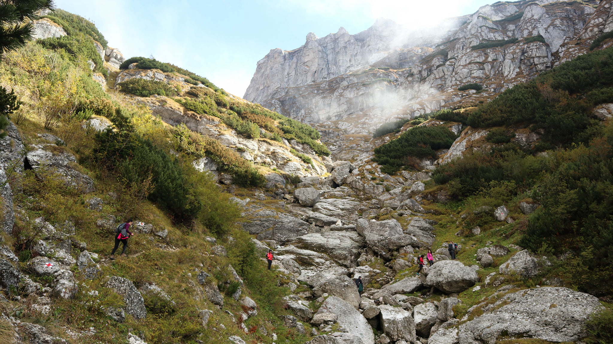  Valea Gaura - Bogdan Matei