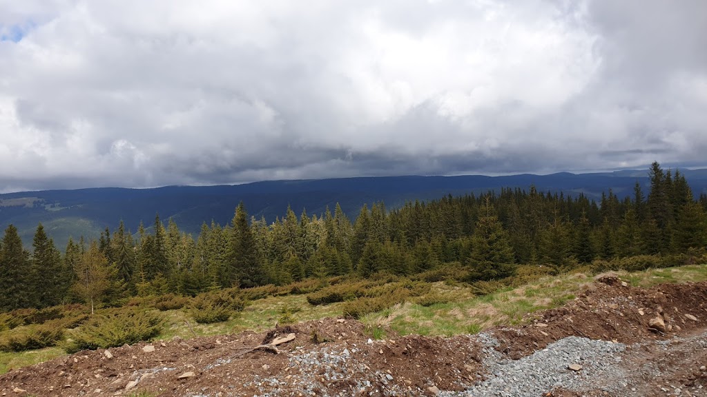  Traseu msg Maraton Apuseni